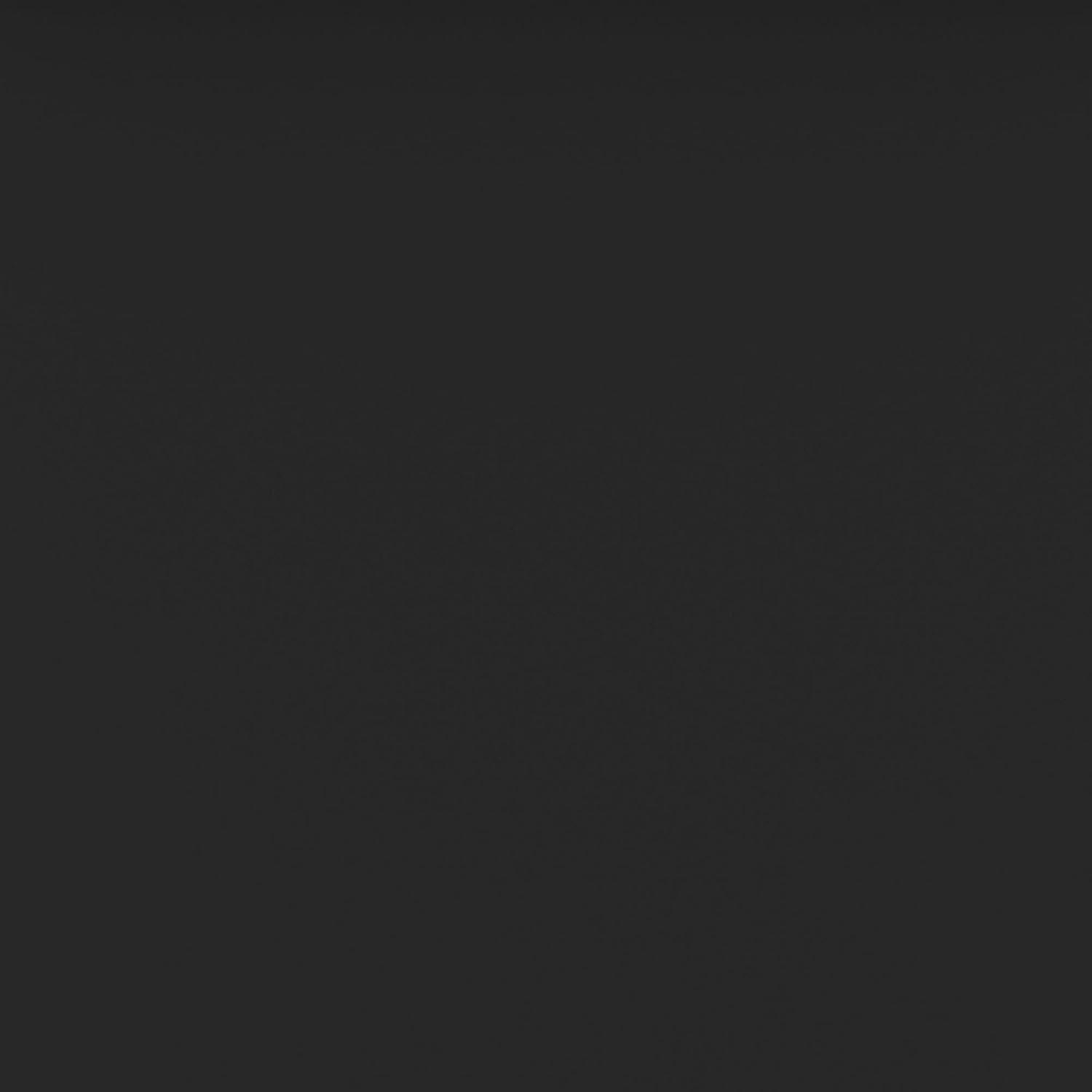 imageWalker Edison Modern Farmhouse Wood XBack Armless Dining Chairs Kitchen Set of 2 BlackBlack